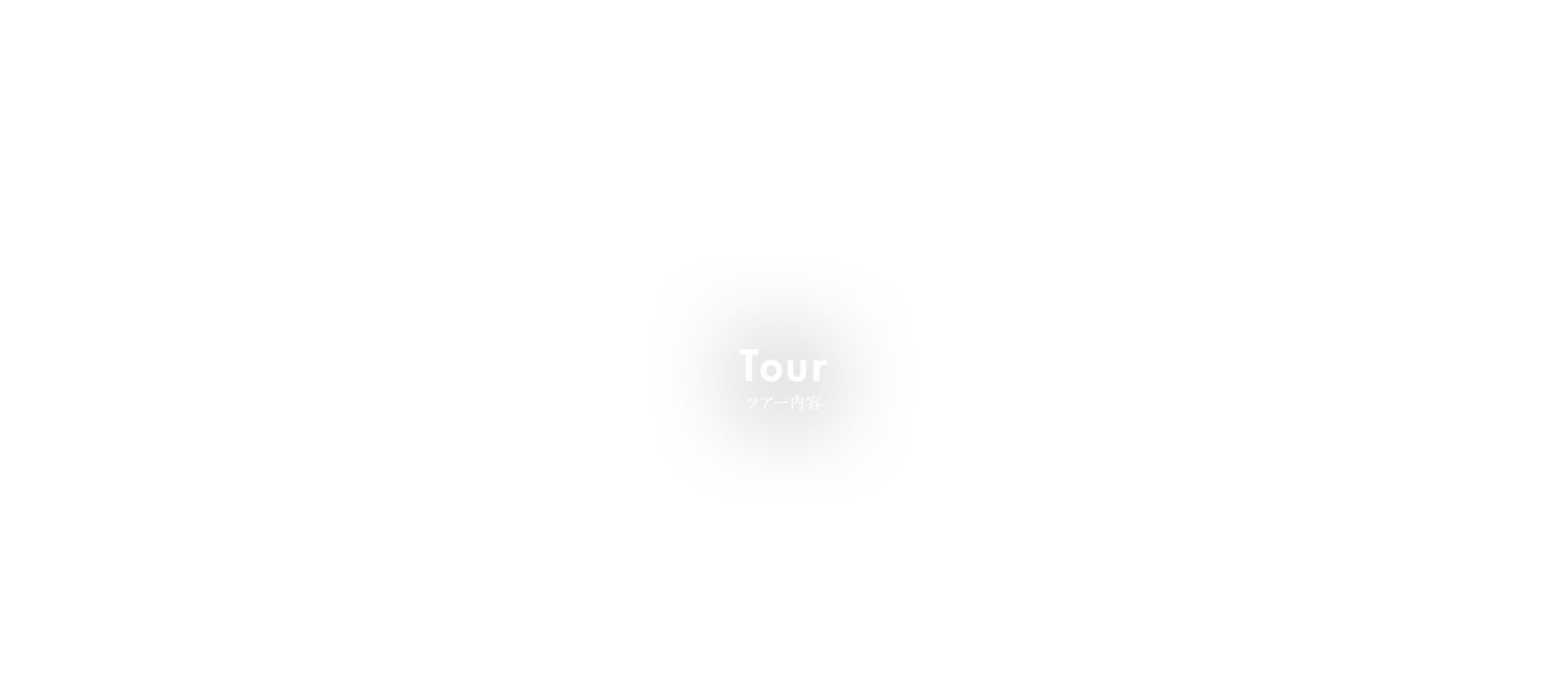 ツアー内容